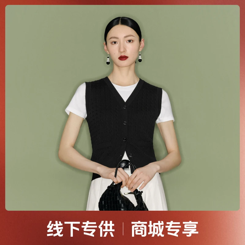 【商场同款】伊芙丽气质高级感百搭毛针织衫2025年夏季1F4130911G