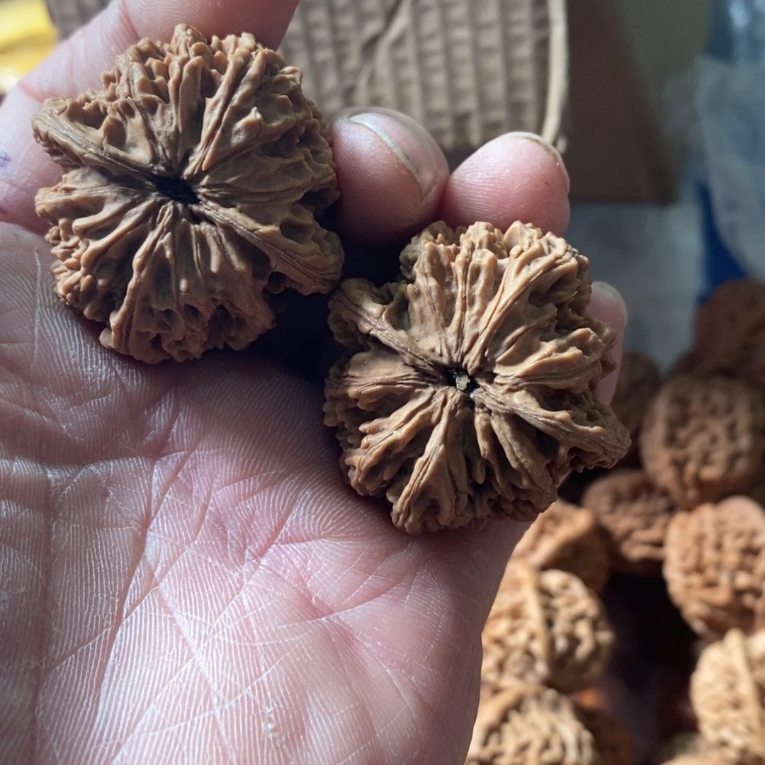 秦岭南侧和东北的区域