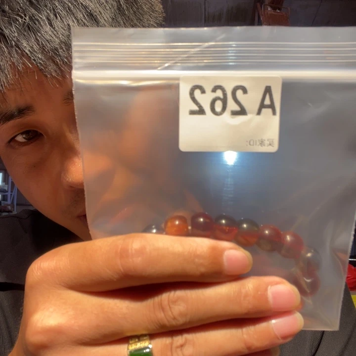 大叶紫檀（黑酸枝木类）262
