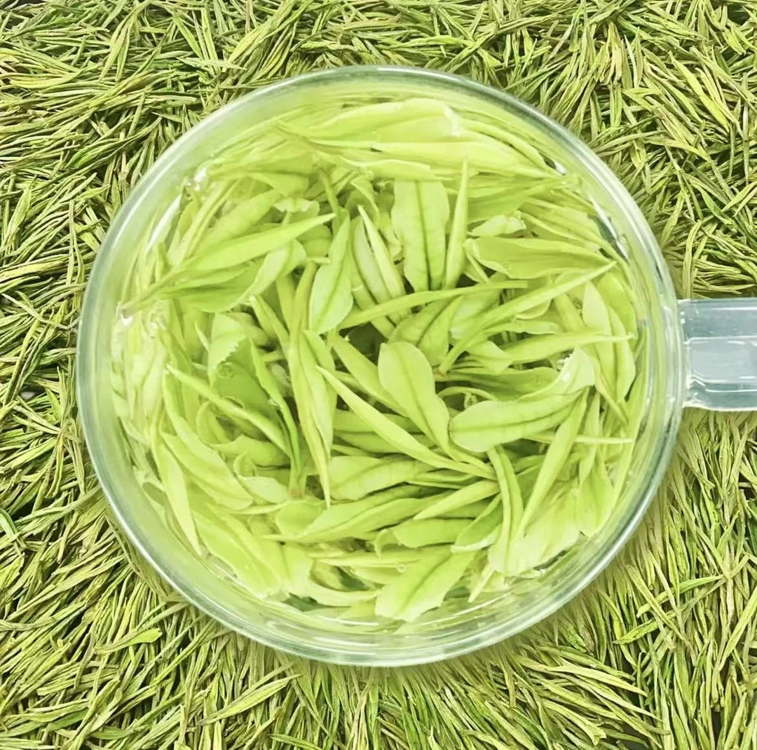 【2025年新茶】安吉原产地正宗高山白茶兰花香高山茶明前茶礼春茶