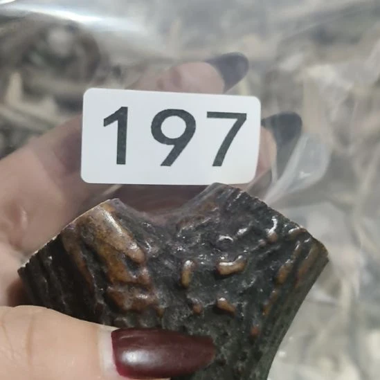 打***将鹿角鹿角鹿角鹿角鹿角鹿角