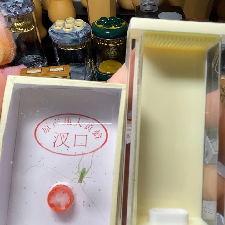 穿条鱼黄蛉盒90加一条翡翠蛉