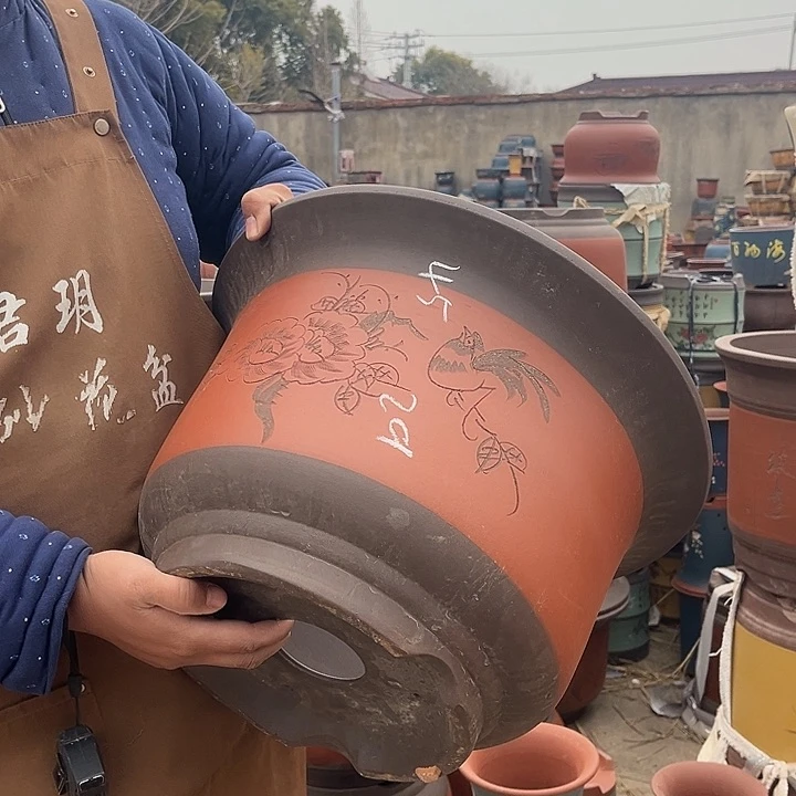 紫砂紫砂花盆盆栽