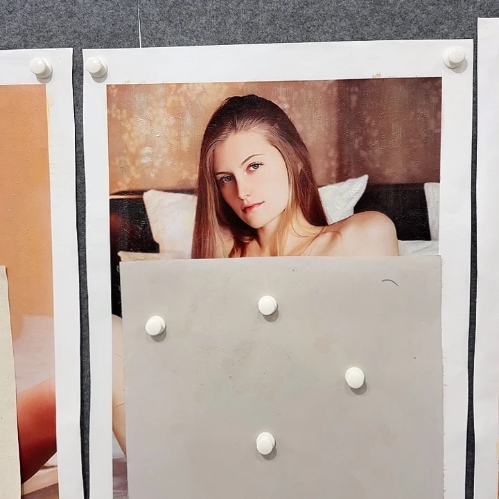 金寨画作欣赏作品