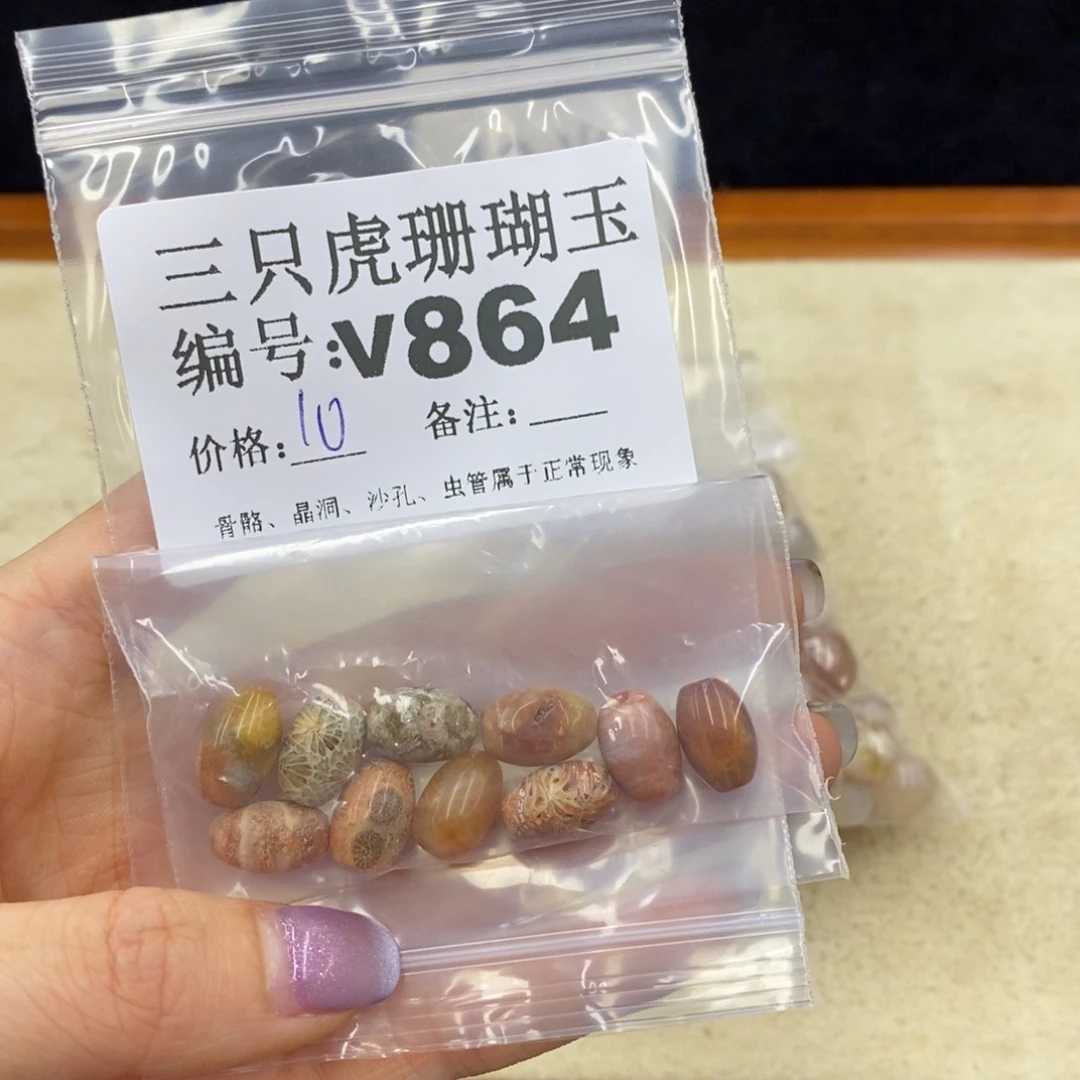 硅化珊瑚（珊瑚玉）未镶嵌1百***儿