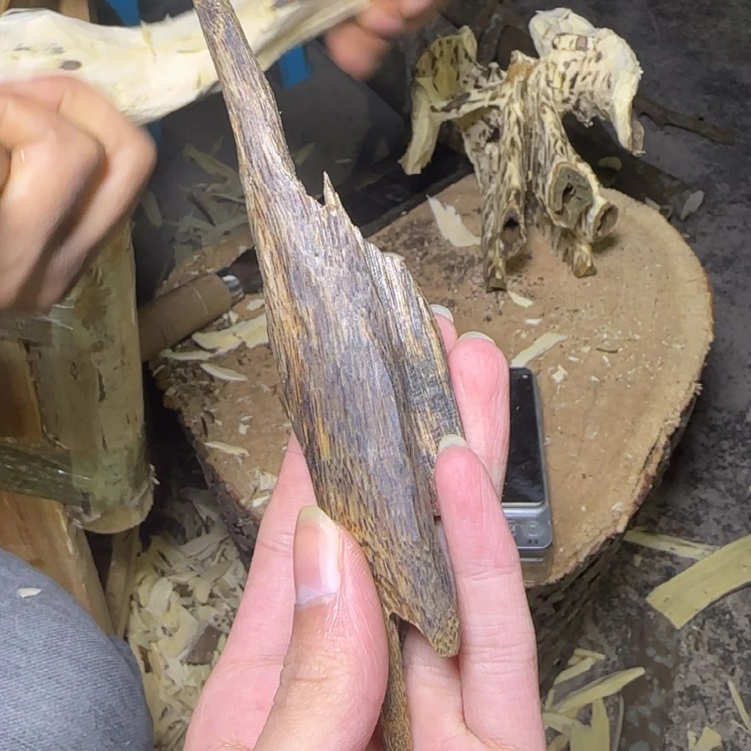 沉香天然虫漏发一份
