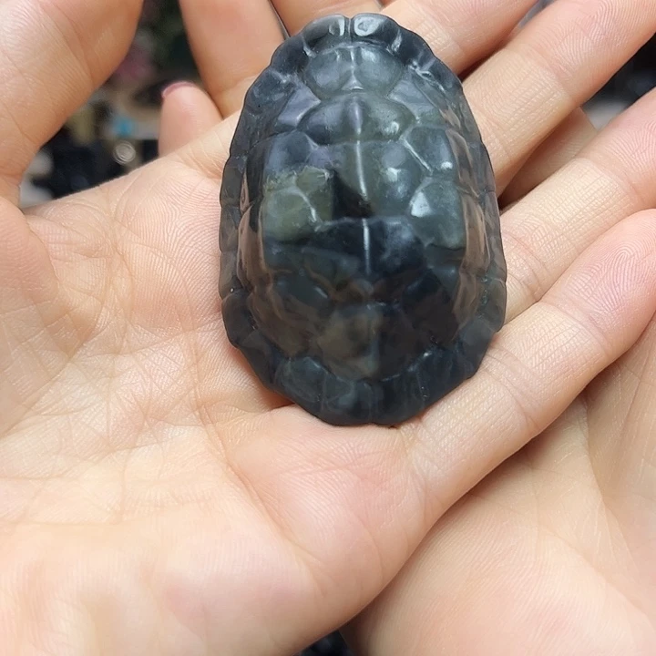 吊坠(赠链)未镶嵌和田玉（墨玉）富甲天下
