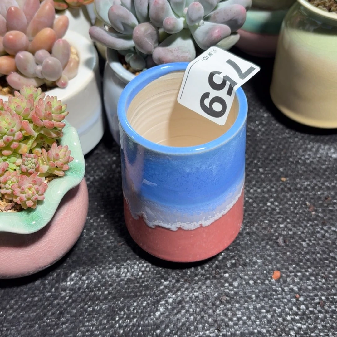 静***静景德镇多肉花盆759