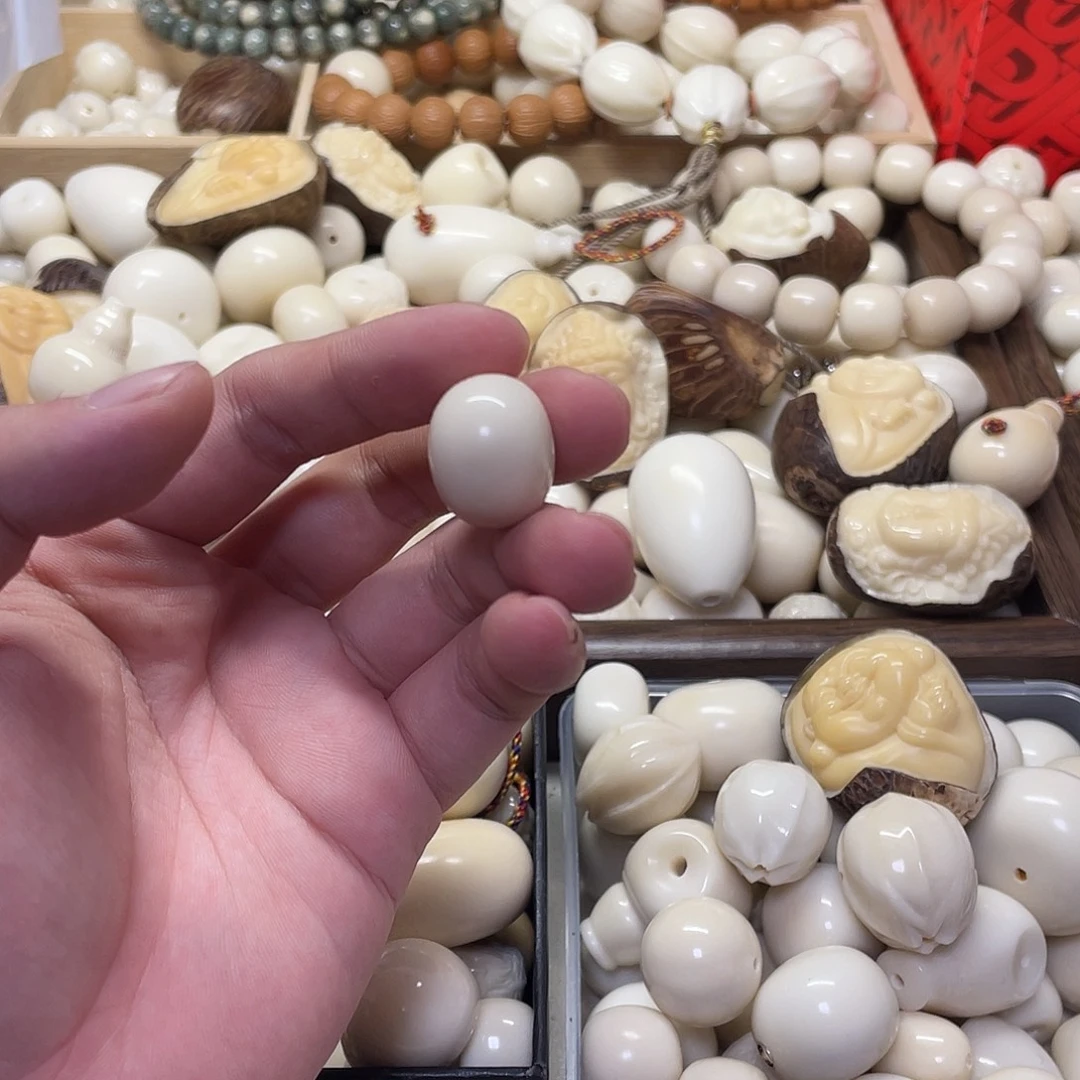*****吊坠菩提根/象牙果