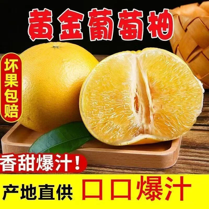 助农福建葡萄柚产地现摘直发应季水果口感甜水分足孕妇水果农直发