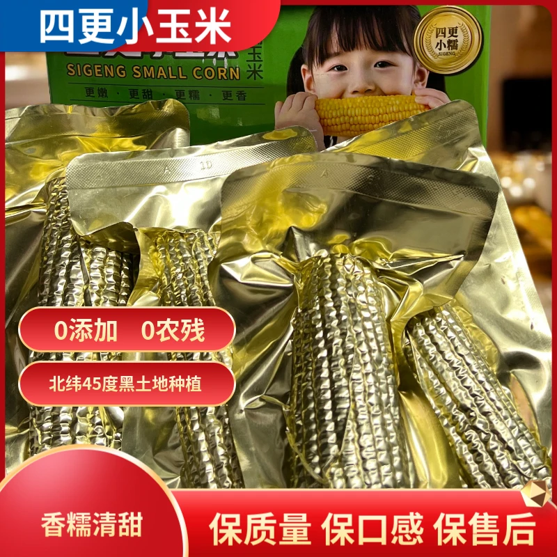 新玉米东北糯玉米黄糯玉米单只250克哈尔滨特产小玉米四更小玉米