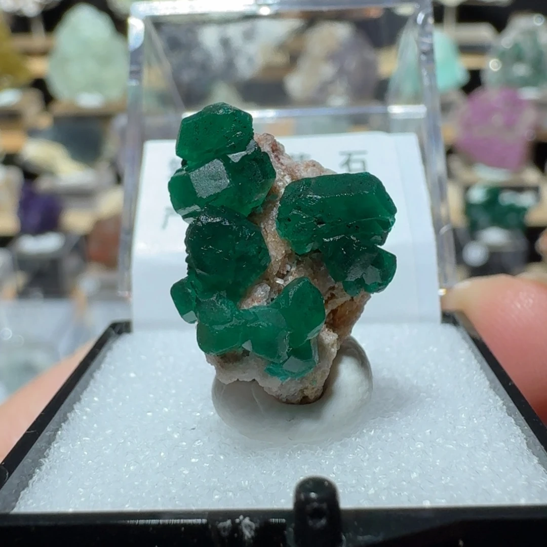 石材1号刚果一物一拍