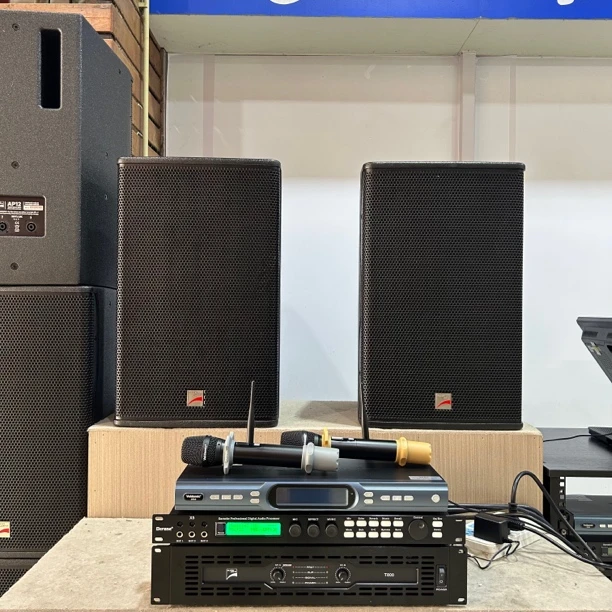 9新  （包邮）德国AZ高端系列12寸音响四件套