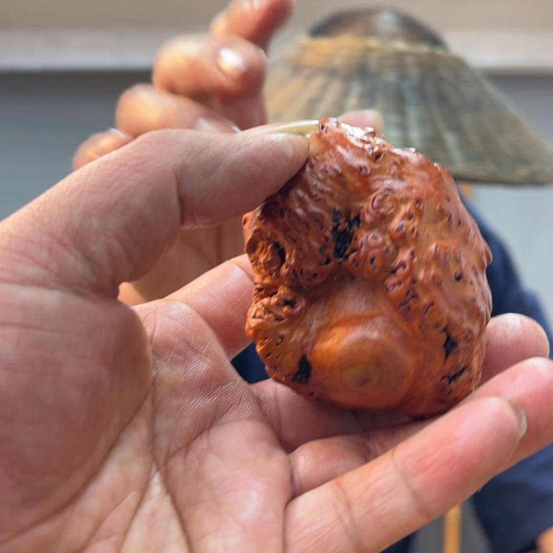 黑果木其他黑果木648