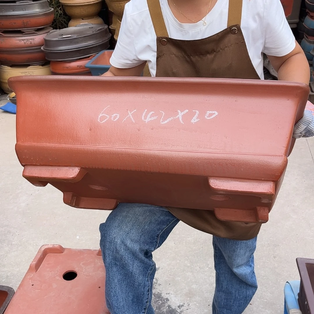 紫砂花盆盆景艺术