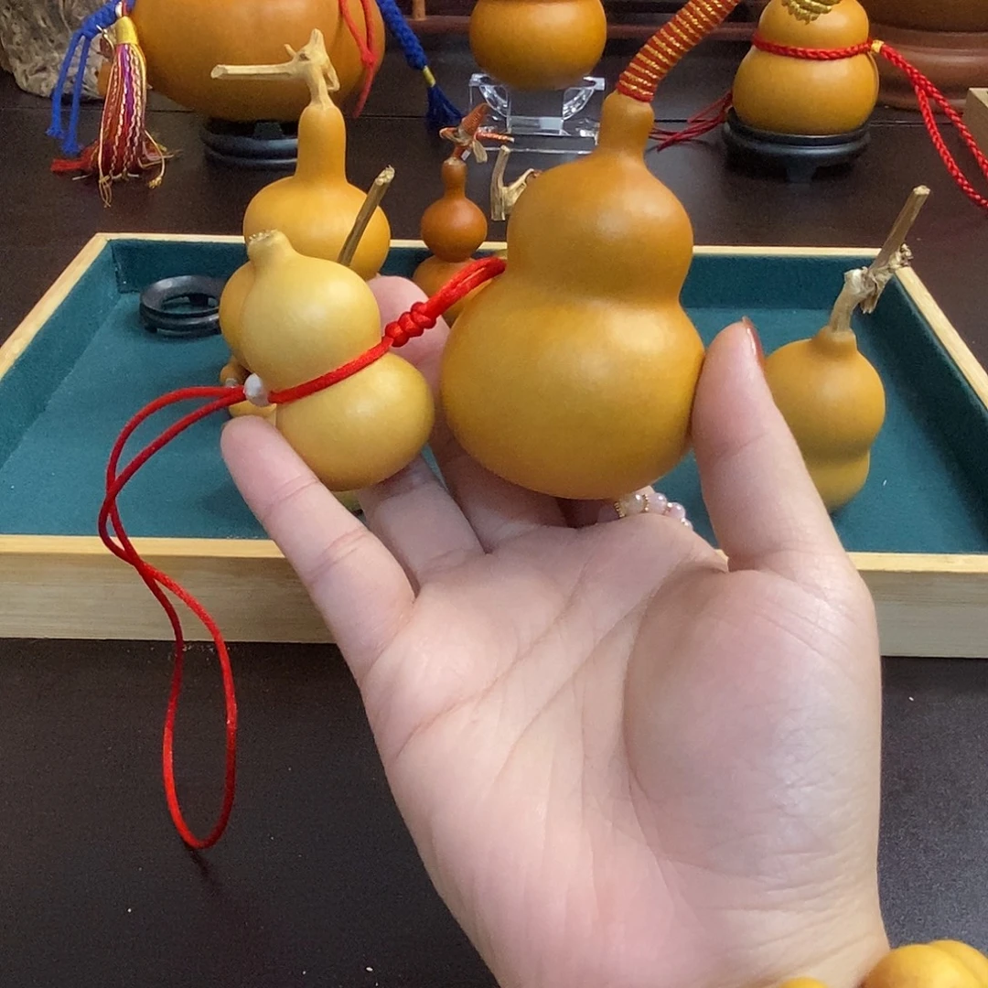 七***月只要你喜欢我就宠！