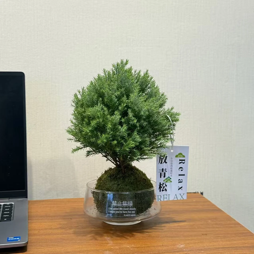 雾凇球+禁止焦绿玻璃瓶