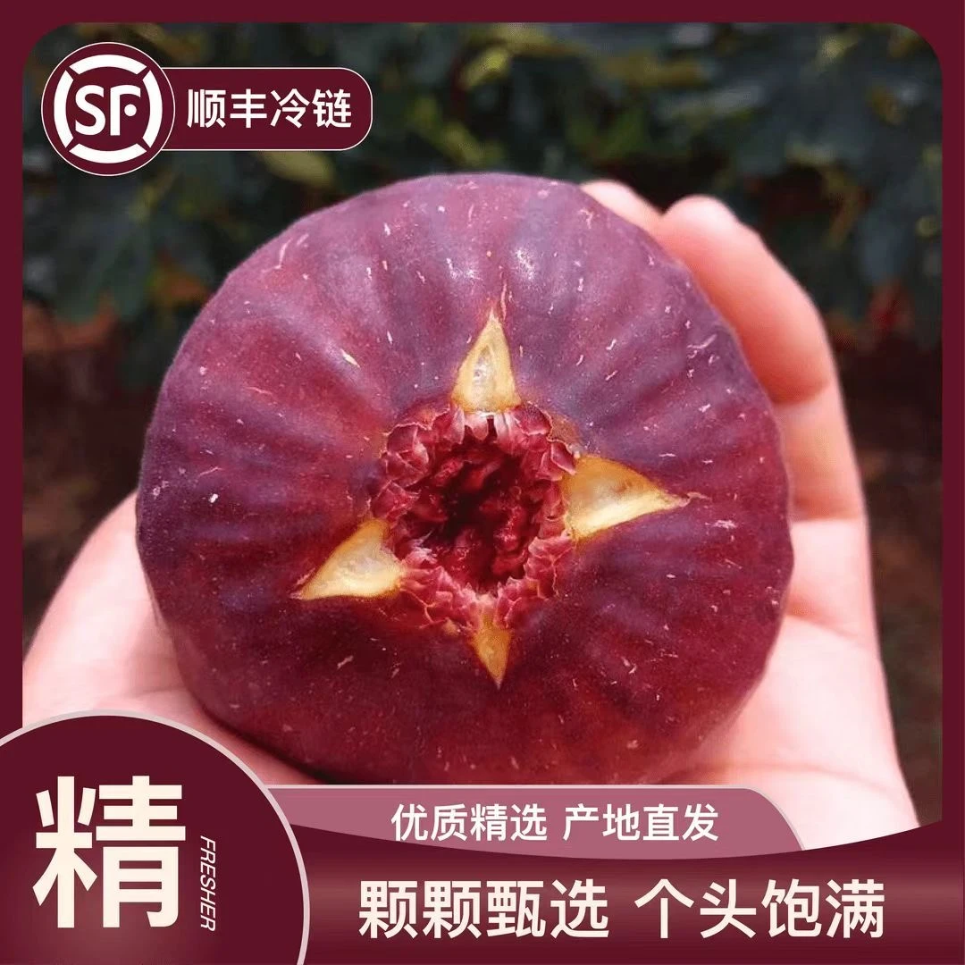 顺丰四川新鲜无花果当季时令水果软糯香甜现摘现发鲜果