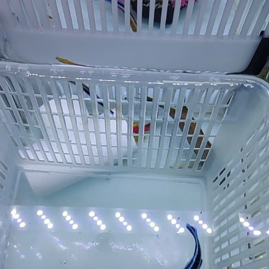 海水随机飘飘一只