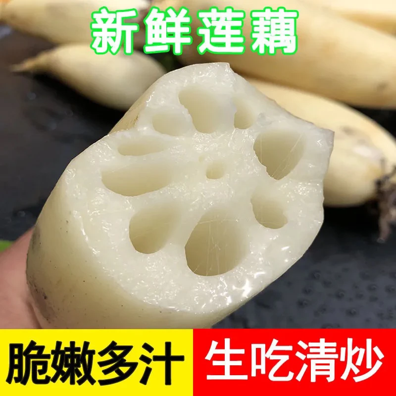 现挖现发湖北大脆藕莲藕清炒凉拌新鲜带泥不漂白应季食材农户自种
