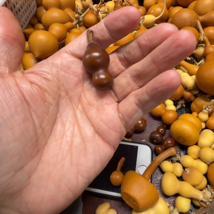 石*老石头的一把栗子皮葫芦