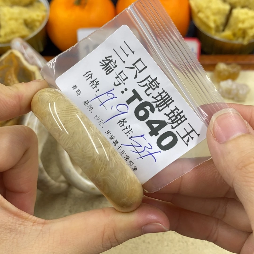 硅化珊瑚（珊瑚玉）1未镶嵌鱼