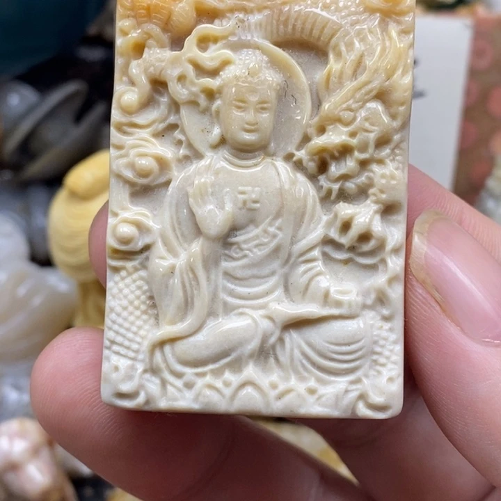 硅化珊瑚（珊瑚玉）未镶嵌颈饰