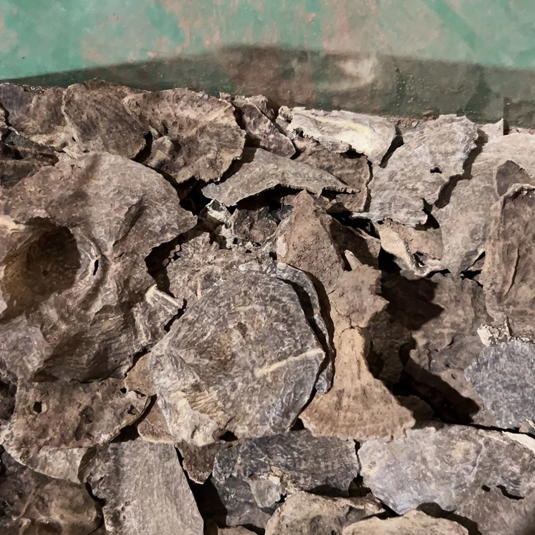 海南老顶版头10克