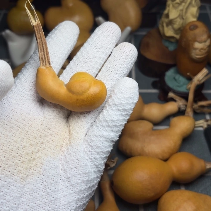 二***哥66666666666666666