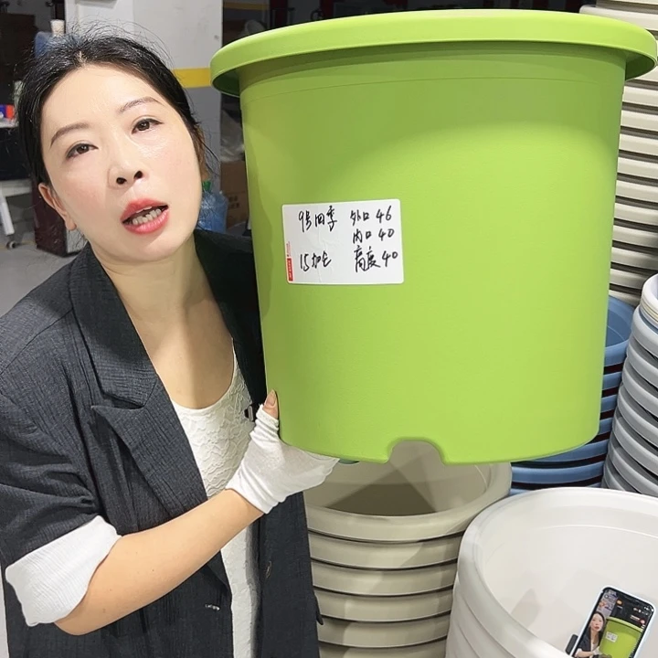 特价9号四季口46高40果绿4只无托