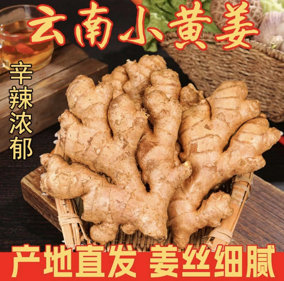 云南小黄姜老姜山地种植生姜1-9斤辛辣够味产地直销云南姜新鲜姜
