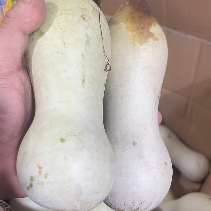 非洲紫檀（红花梨）?***头