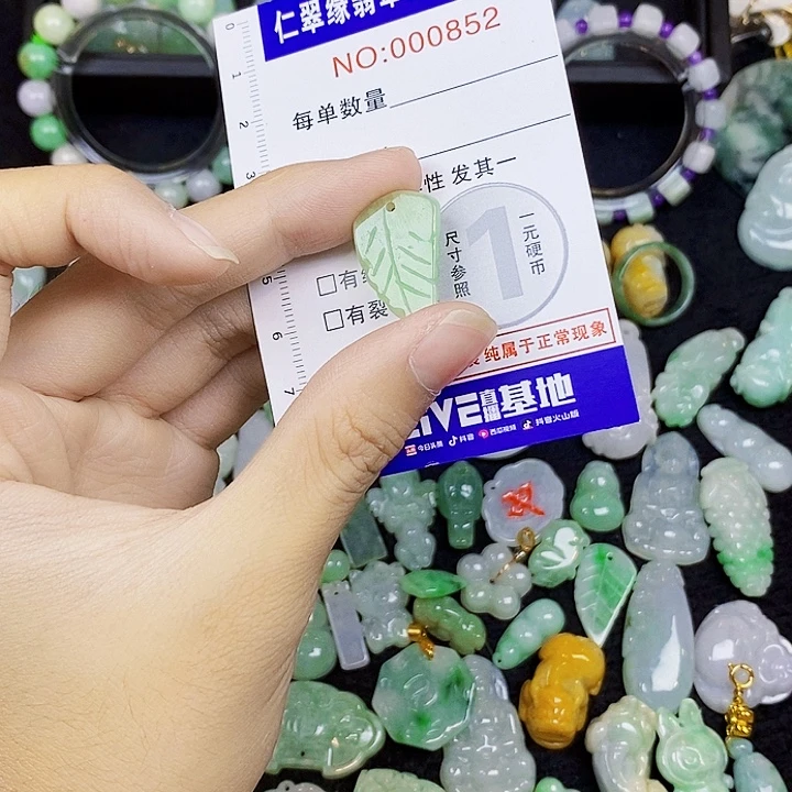 翡翠未镶嵌颈饰fc
