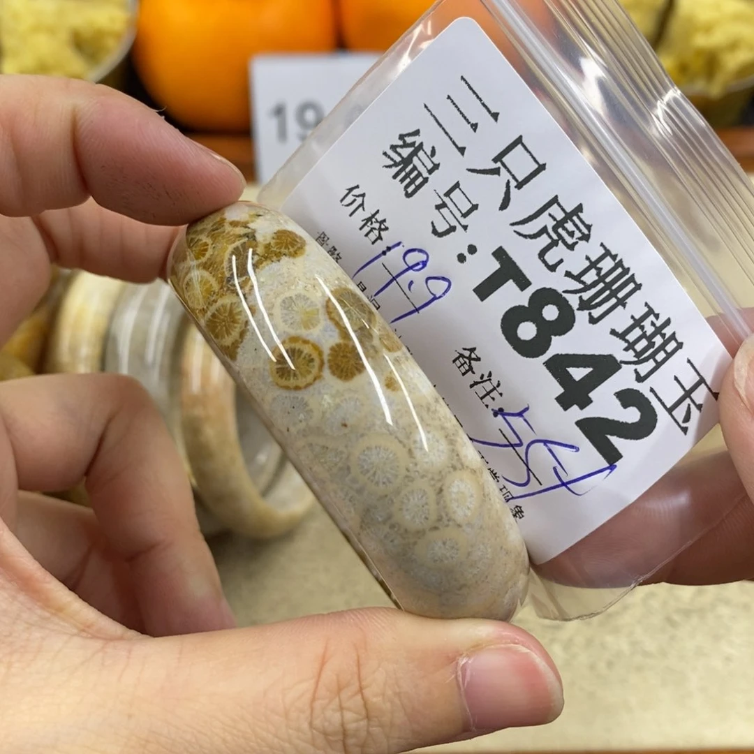 硅化珊瑚（珊瑚玉）1未镶嵌煊**i