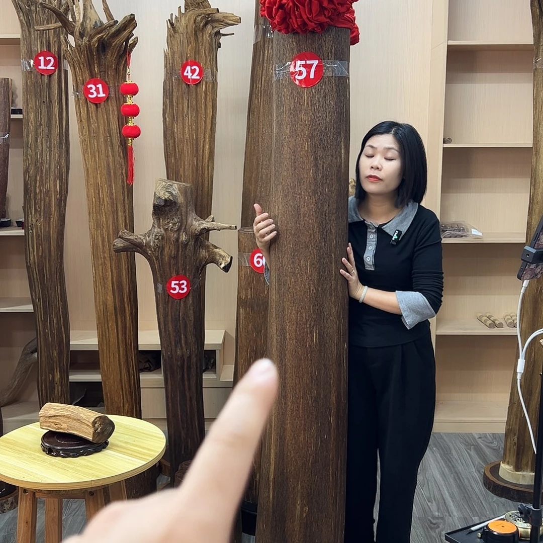 夜***歌沉香沉香碎屑沉香