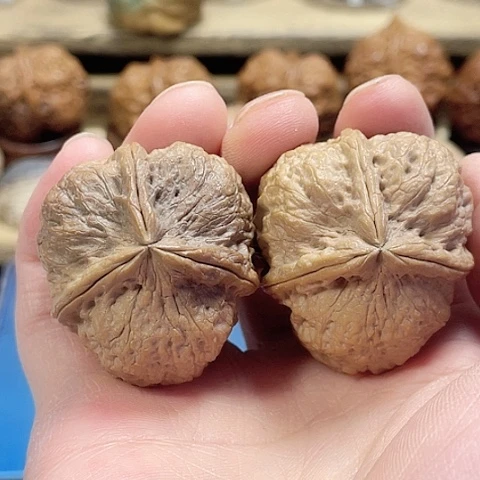 文玩核桃把件霸王鼎带彩38微差尺