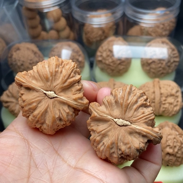 文玩核桃把件O*o白狮子