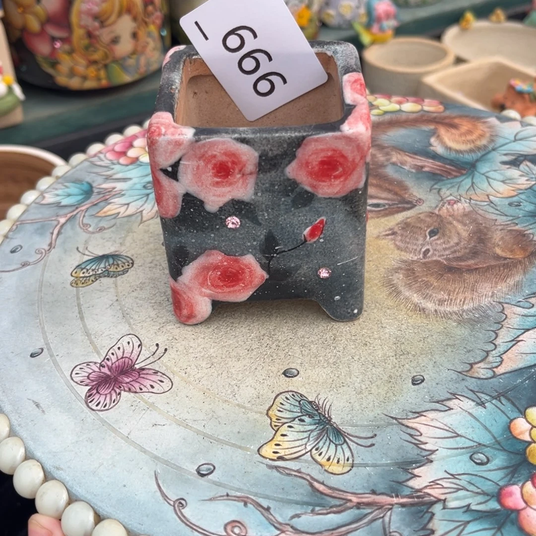 天****666多肉花盆   1个