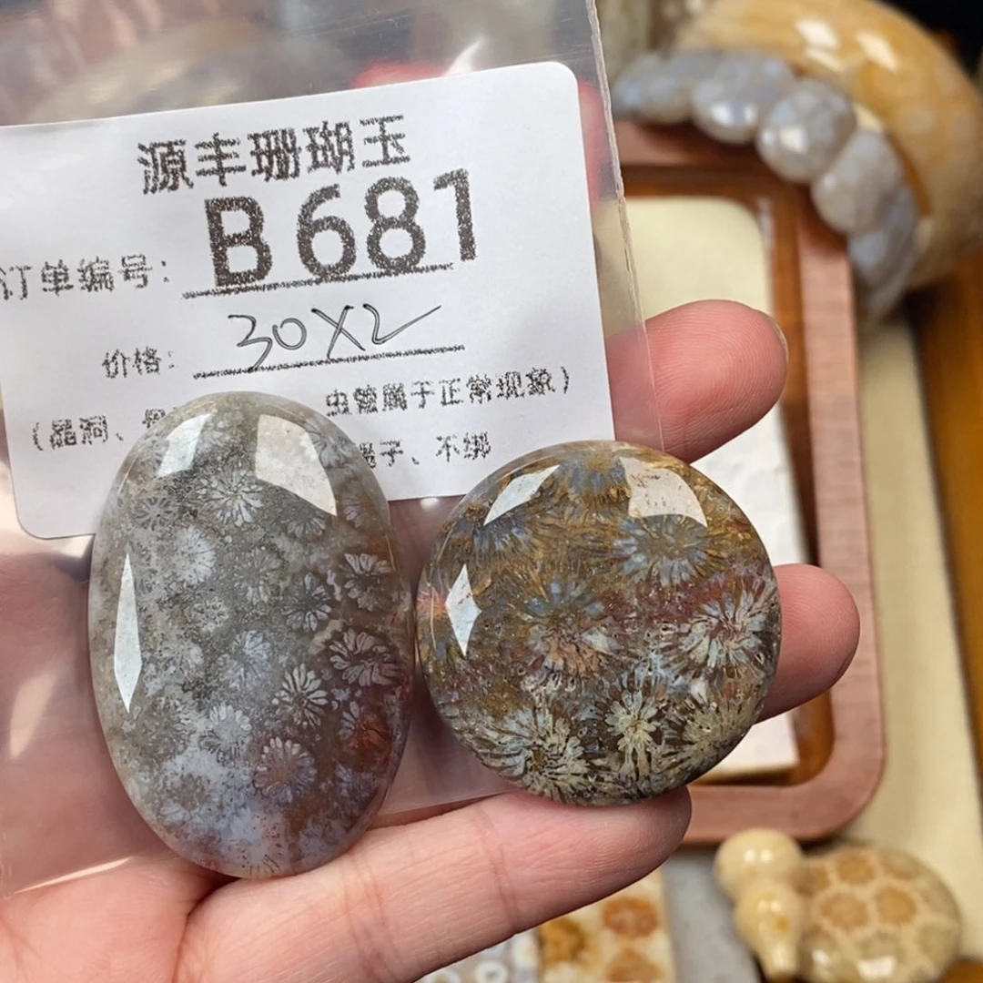 提***y未镶嵌颈饰硅化玉