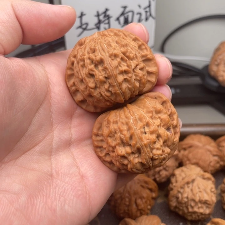 文玩核桃把件42白狮子