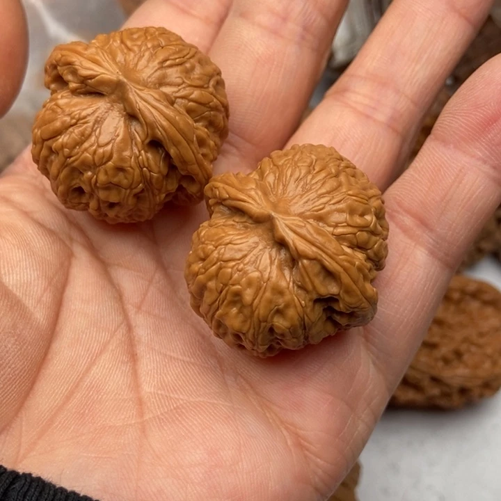 文玩核桃把件岁***。龙胆