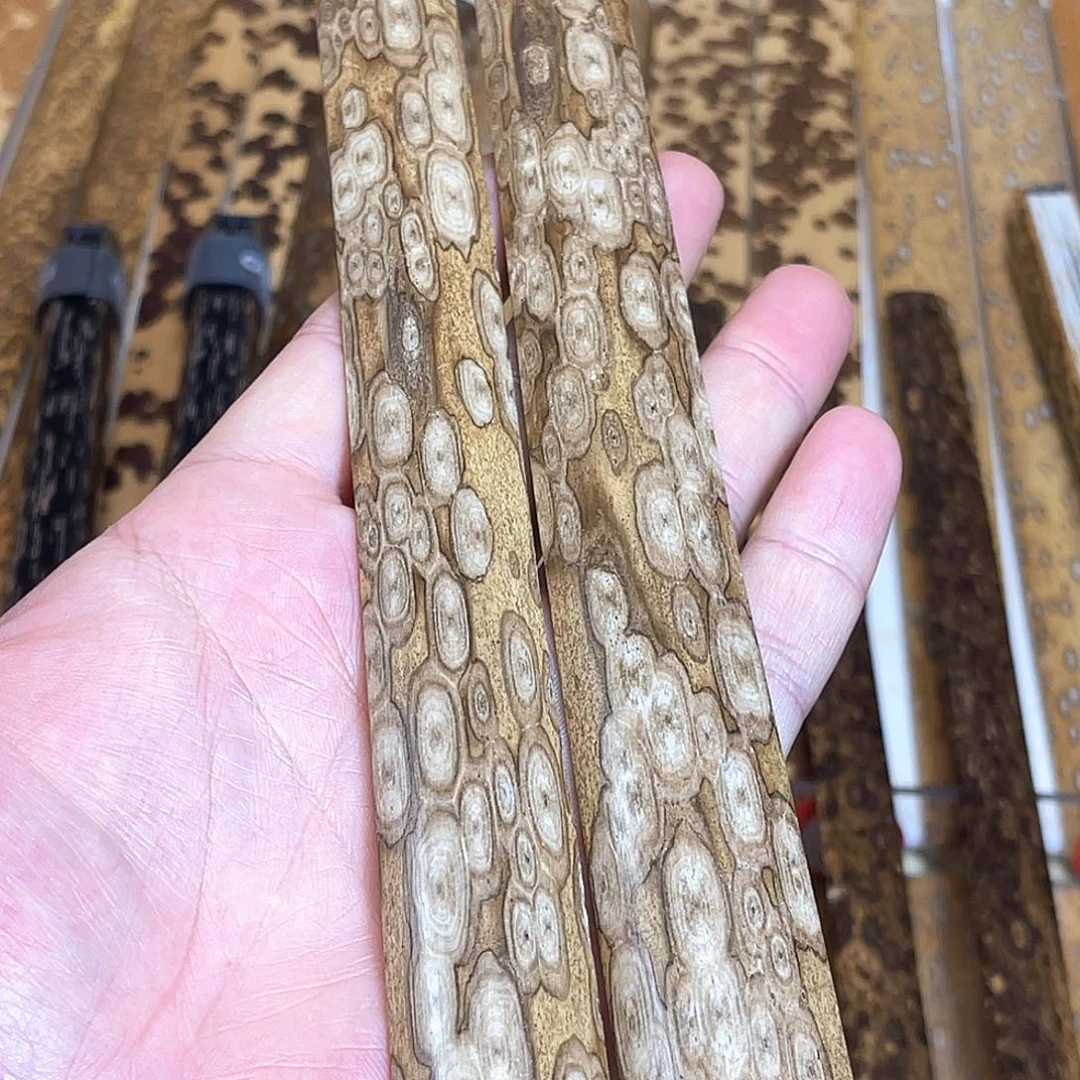 扇子梅鹿白花 85寸25