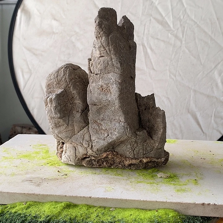 花盆摆件家居装饰