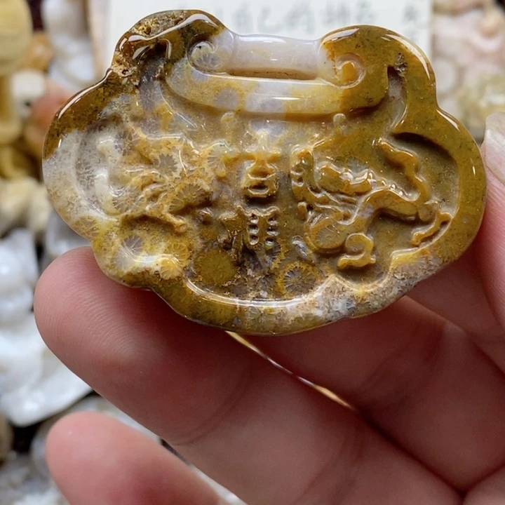 颈饰未镶嵌硅化珊瑚（珊瑚玉）有瑕