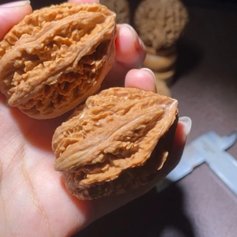 把件文玩核桃东北野生楸子小园 173