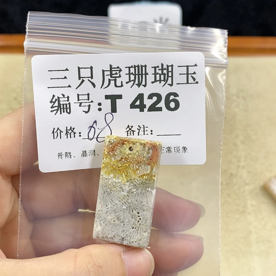 硅化珊瑚（珊瑚玉）1未镶嵌L***理