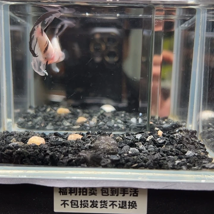 斗鱼跑单拉黑1 9日43