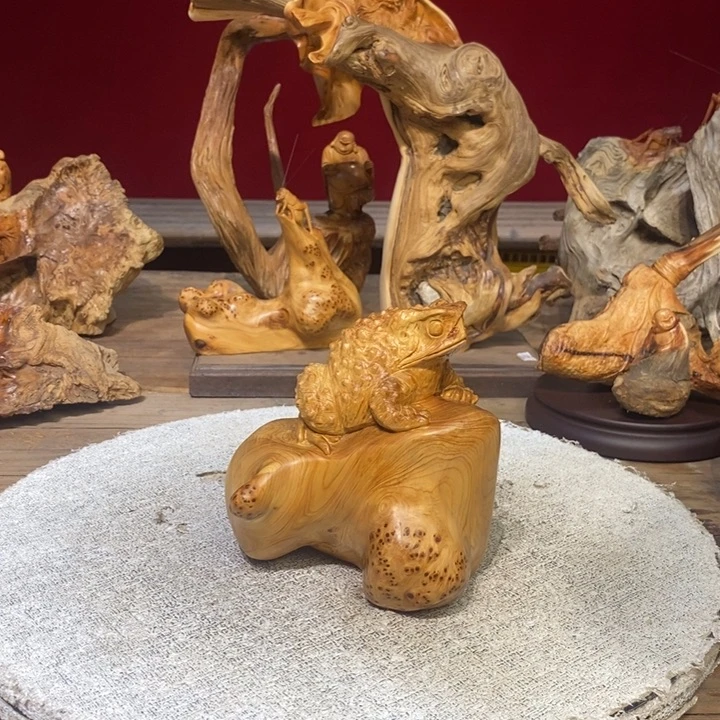 柏木（崖柏）88888888