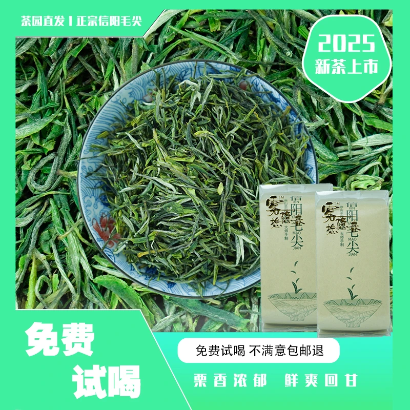 信阳毛尖特级2025鲜爽明前高山茶新茶毛尖绿茶2025新茶