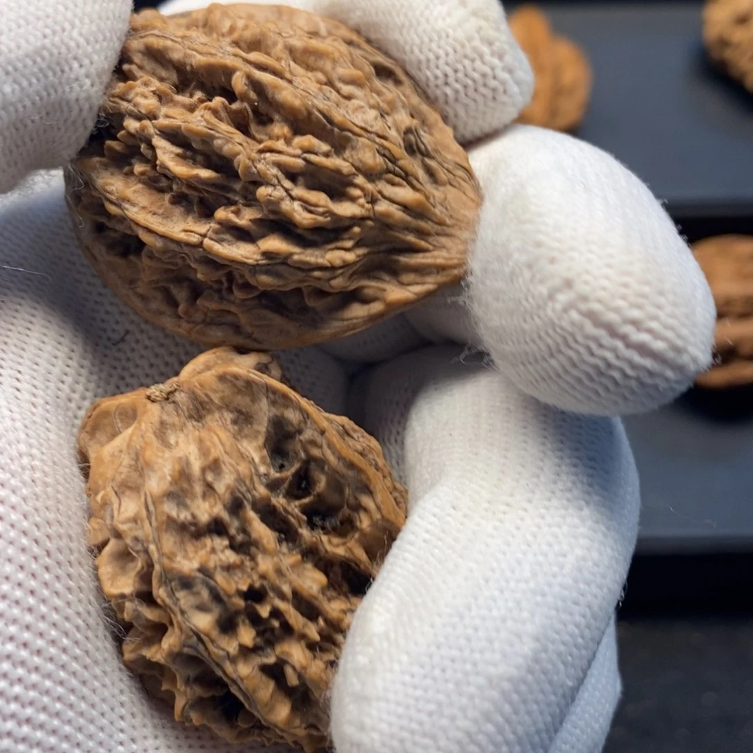 秦岭南北区有什么地方需要